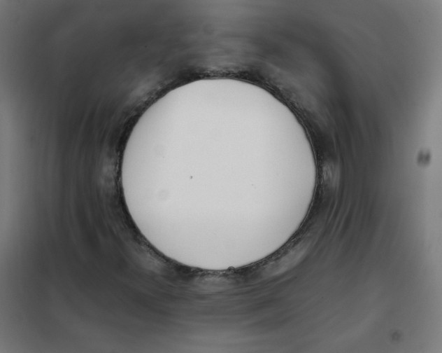 X0000101661300200808071011