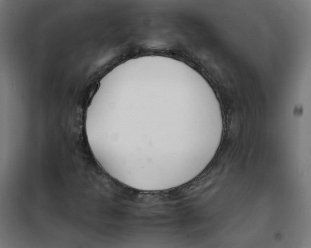 X0000101661301200808071011