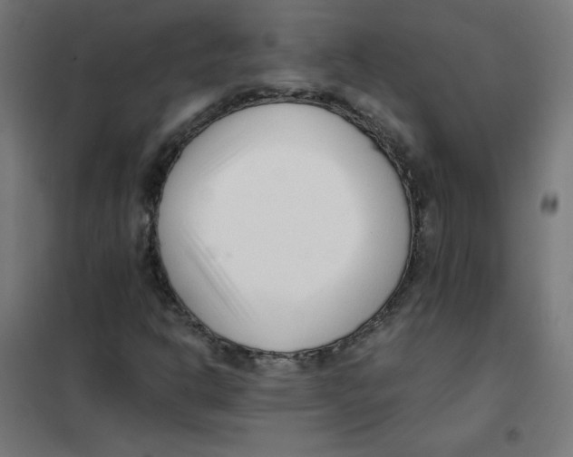 X0000101661302200808071011
