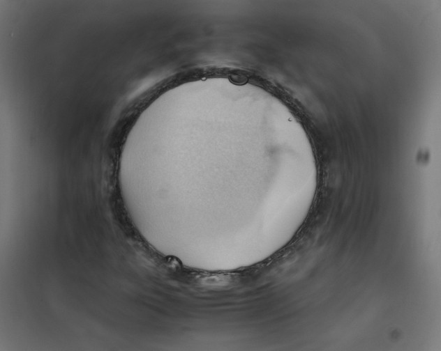 X0000101661303200808071011