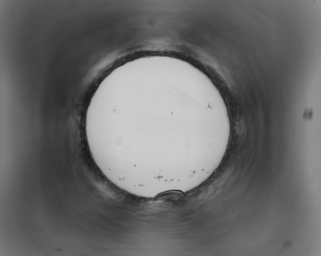 X0000101661304200808071011