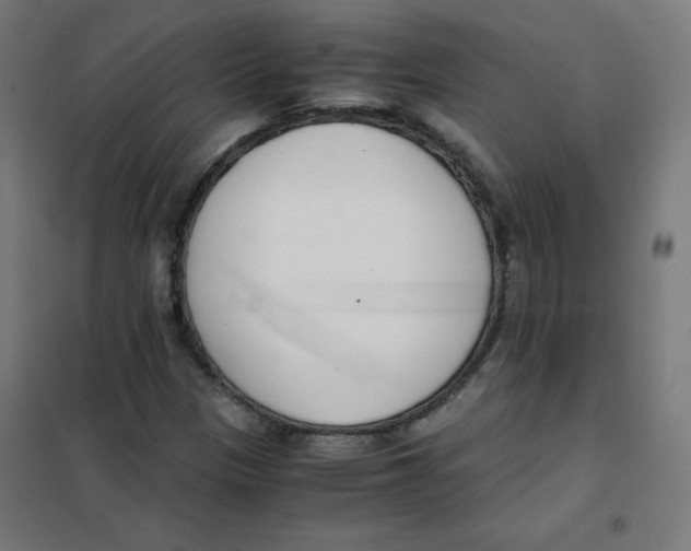 X0000101661305200808071011