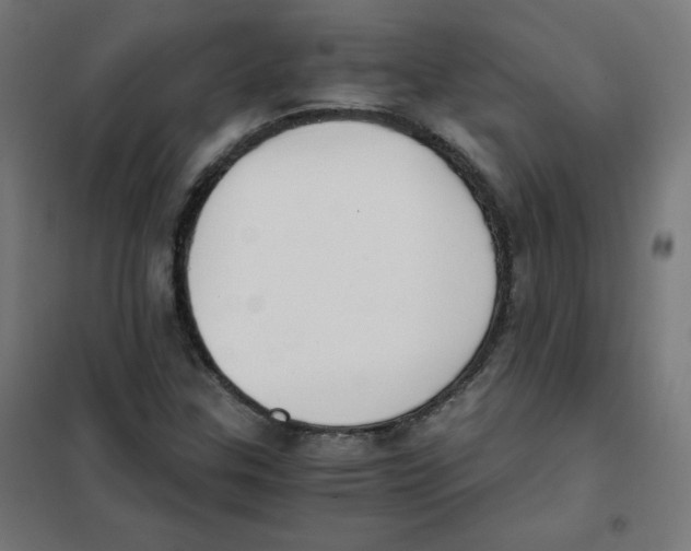 X0000101661307200808071011
