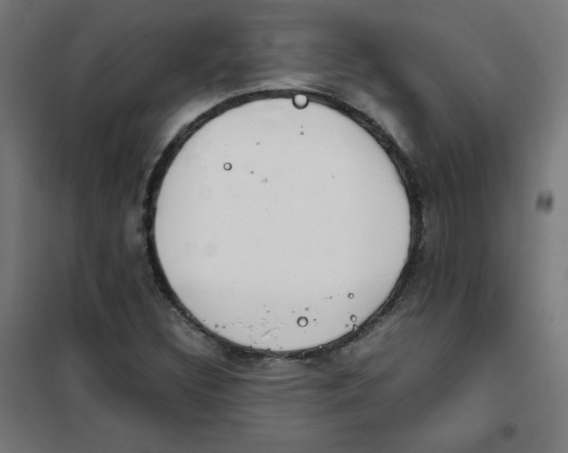X0000101661308200808071011