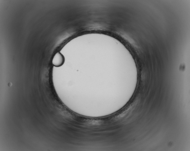 X0000101661309200808071011