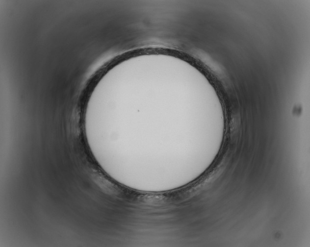 X0000101661310200808071011