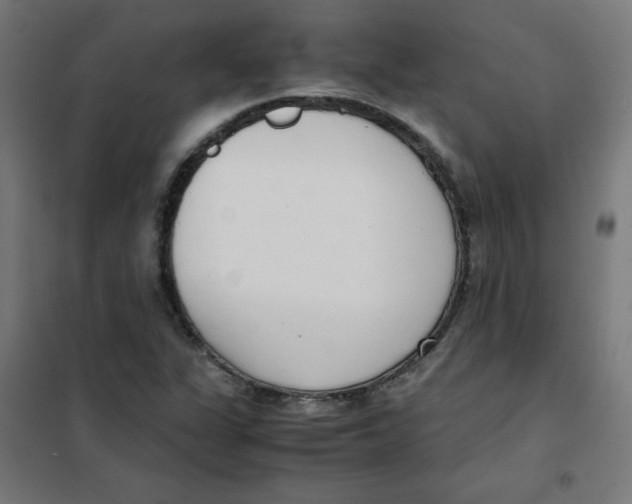 X0000101661311200808071011