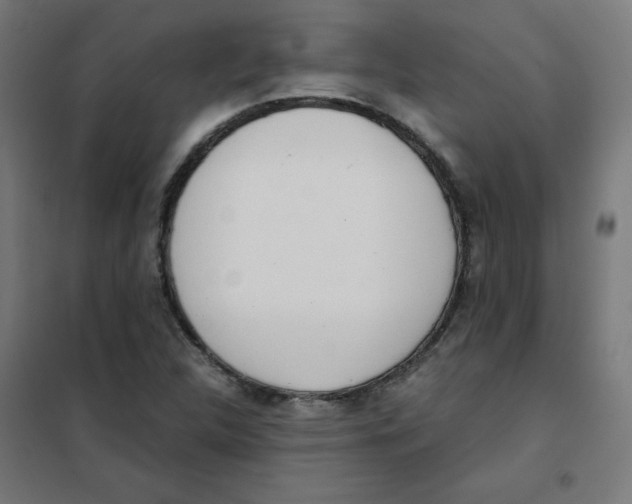 X0000101661312200808071011