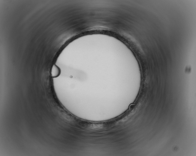 X0000101661313200808071011