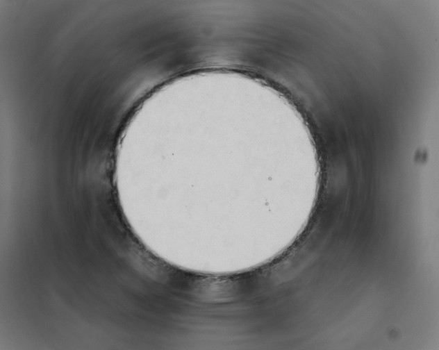 X0000101661314200808071011