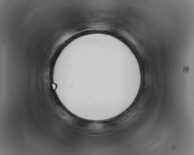 X0000101661315200808071011