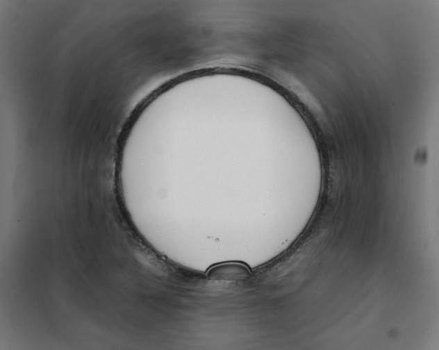 X0000101661316200808071011
