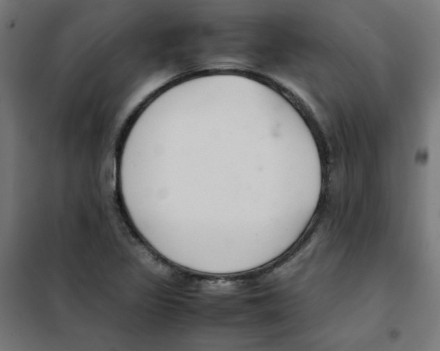 X0000101661317200808071011