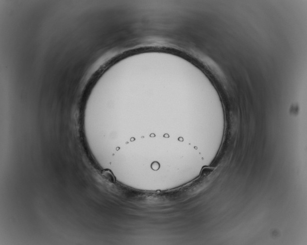 X0000101661318200808071011