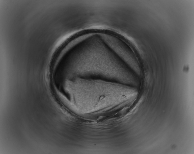 X0000101661319200808071011