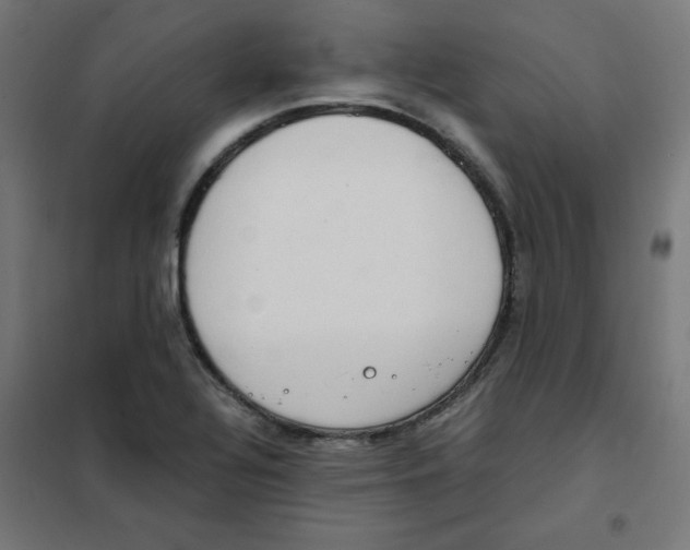 X0000101661320200808071011