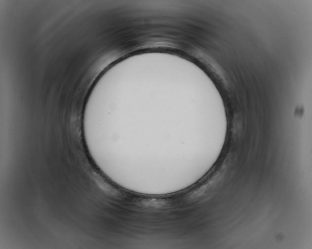 X0000101661321200808071011