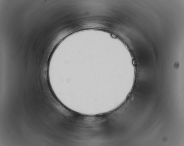 X0000101661322200808071011