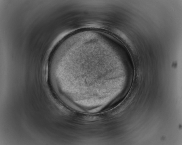 X0000101661323200808071011