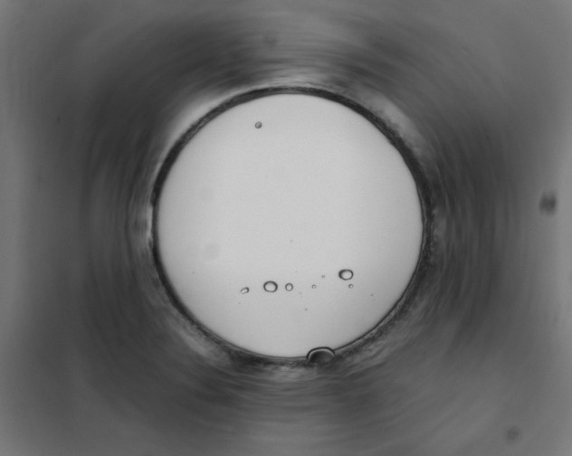 X0000101661324200808071011