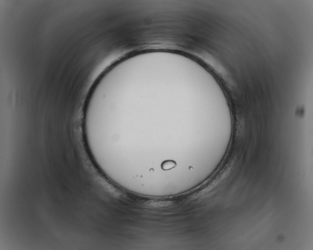X0000101661325200808071012
