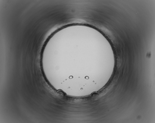X0000101661326200808071012