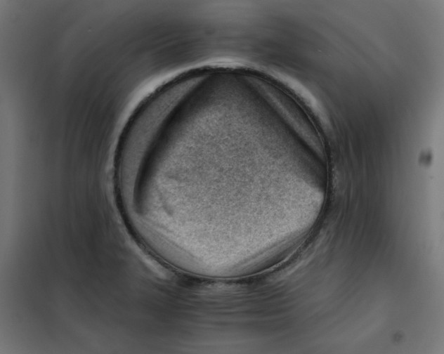 X0000101661327200808071012