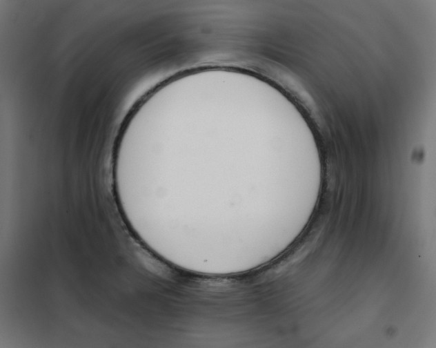X0000101661328200808071012