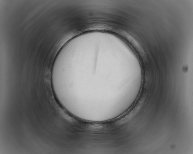 X0000101661329200808071012