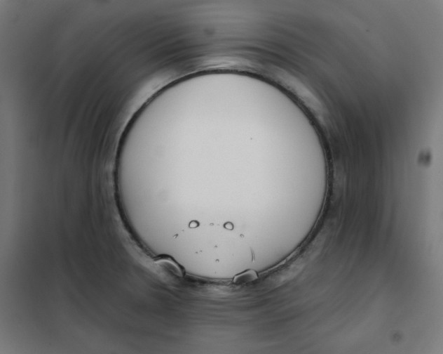 X0000101661330200808071012