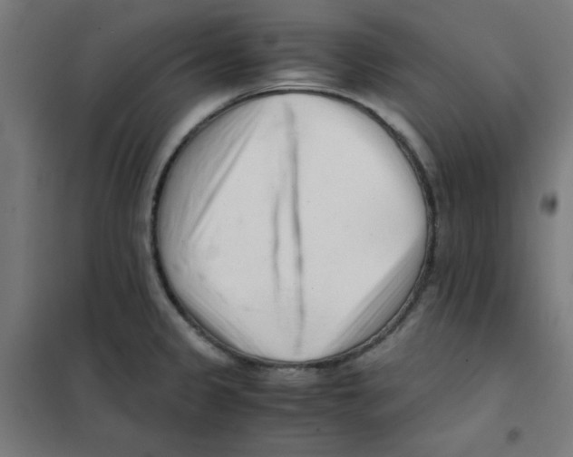 X0000101661333200808071012