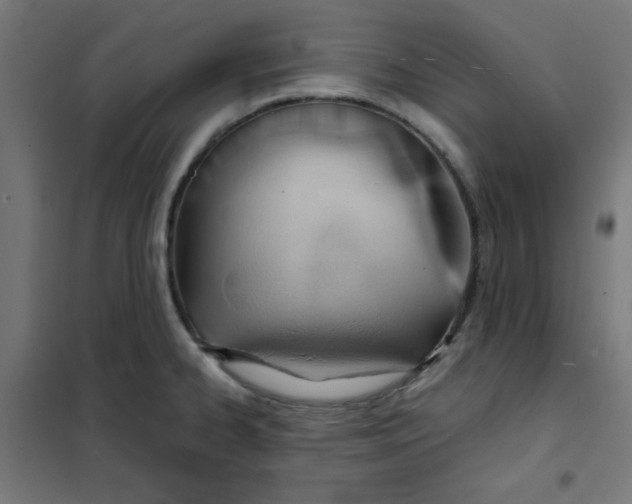 X0000101661334200808071012