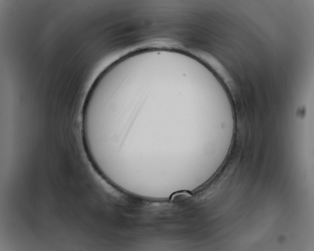 X0000101661335200808071012
