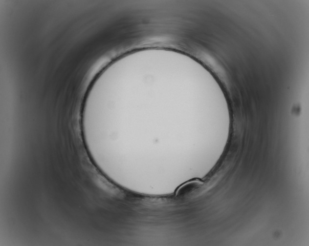 X0000101661336200808071012