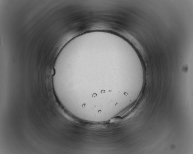 X0000101661337200808071012