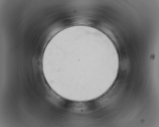 X0000101661338200808071012