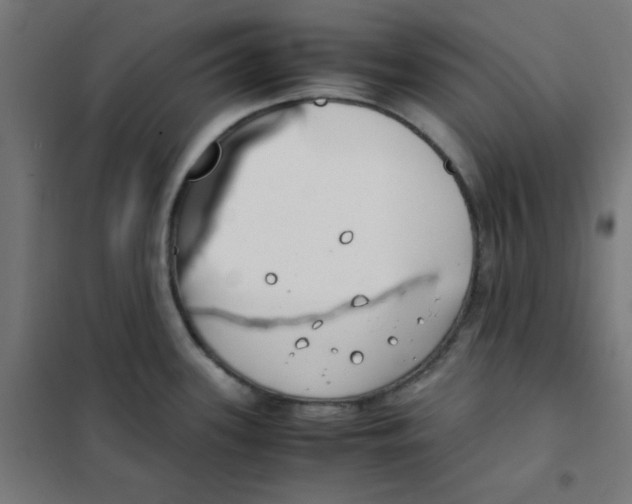 X0000101661339200808071012