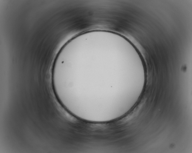 X0000101661341200808071012