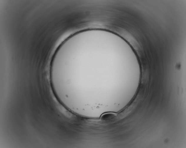 X0000101661342200808071012