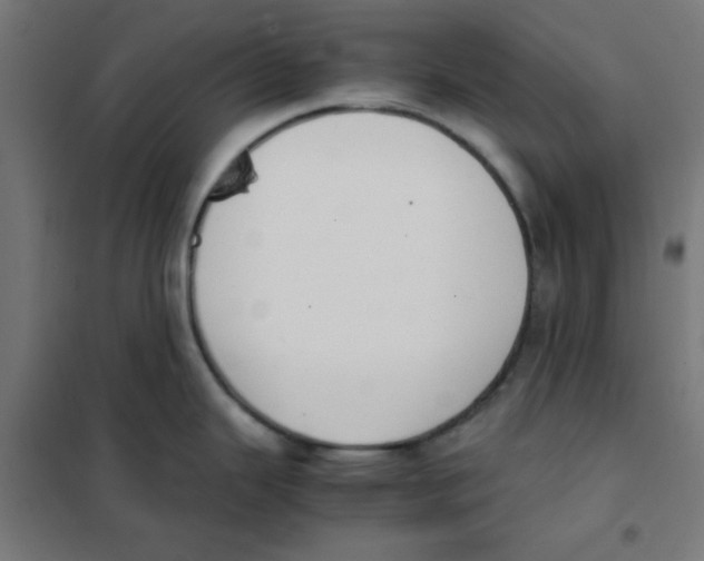 X0000101661343200808071012
