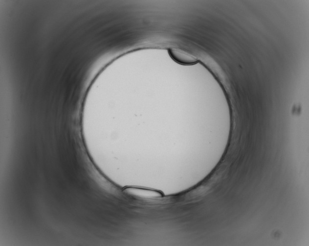 X0000101661344200808071012