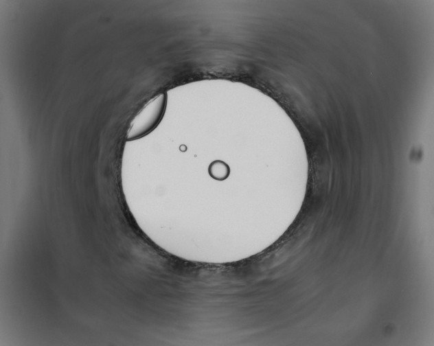 X0000101661345200808071011