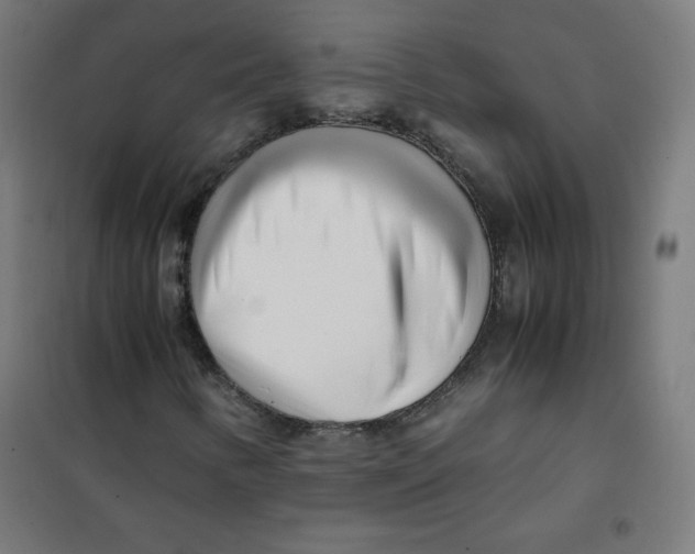 X0000101661346200808071011