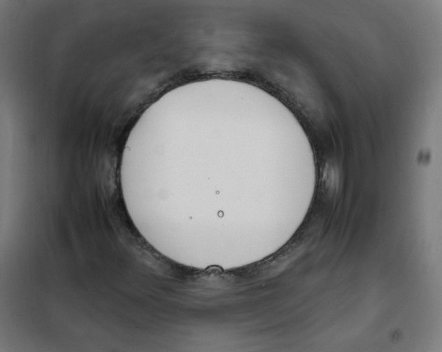 X0000101661348200808071011