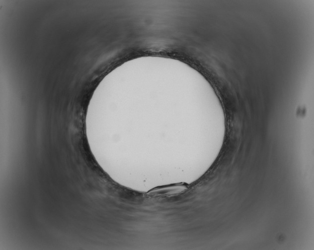 X0000101661349200808071011