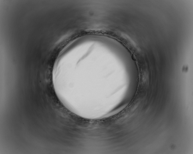 X0000101661350200808071011