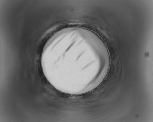 X0000101661351200808071011