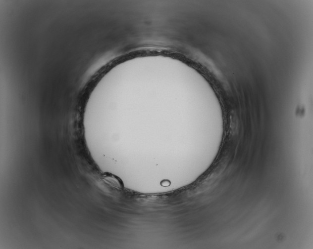 X0000101661352200808071011