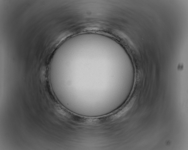 X0000101661353200808071011