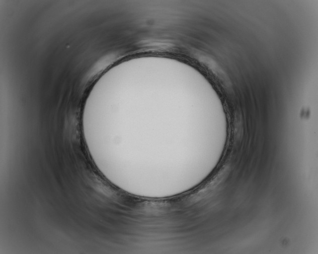 X0000101661354200808071011